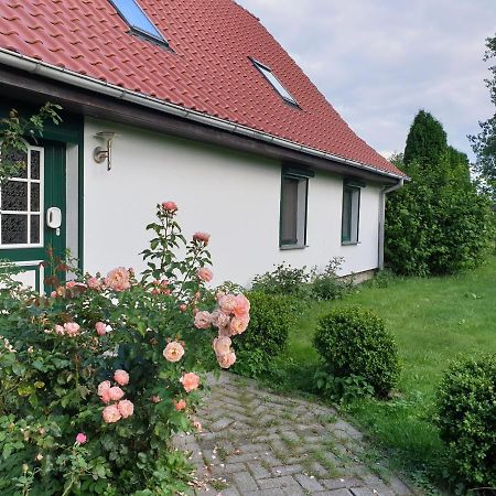 Oeko-Ferienhaus Rappin Extérieur photo