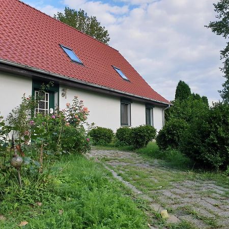 Oeko-Ferienhaus Rappin Extérieur photo