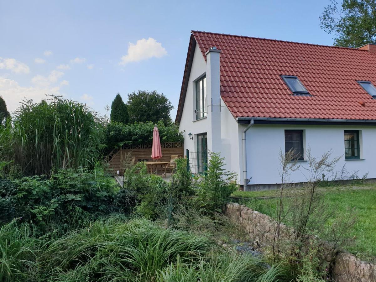 Oeko-Ferienhaus Rappin Extérieur photo