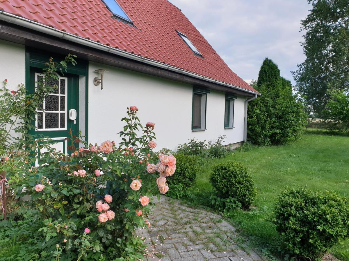 Oeko-Ferienhaus Rappin Extérieur photo