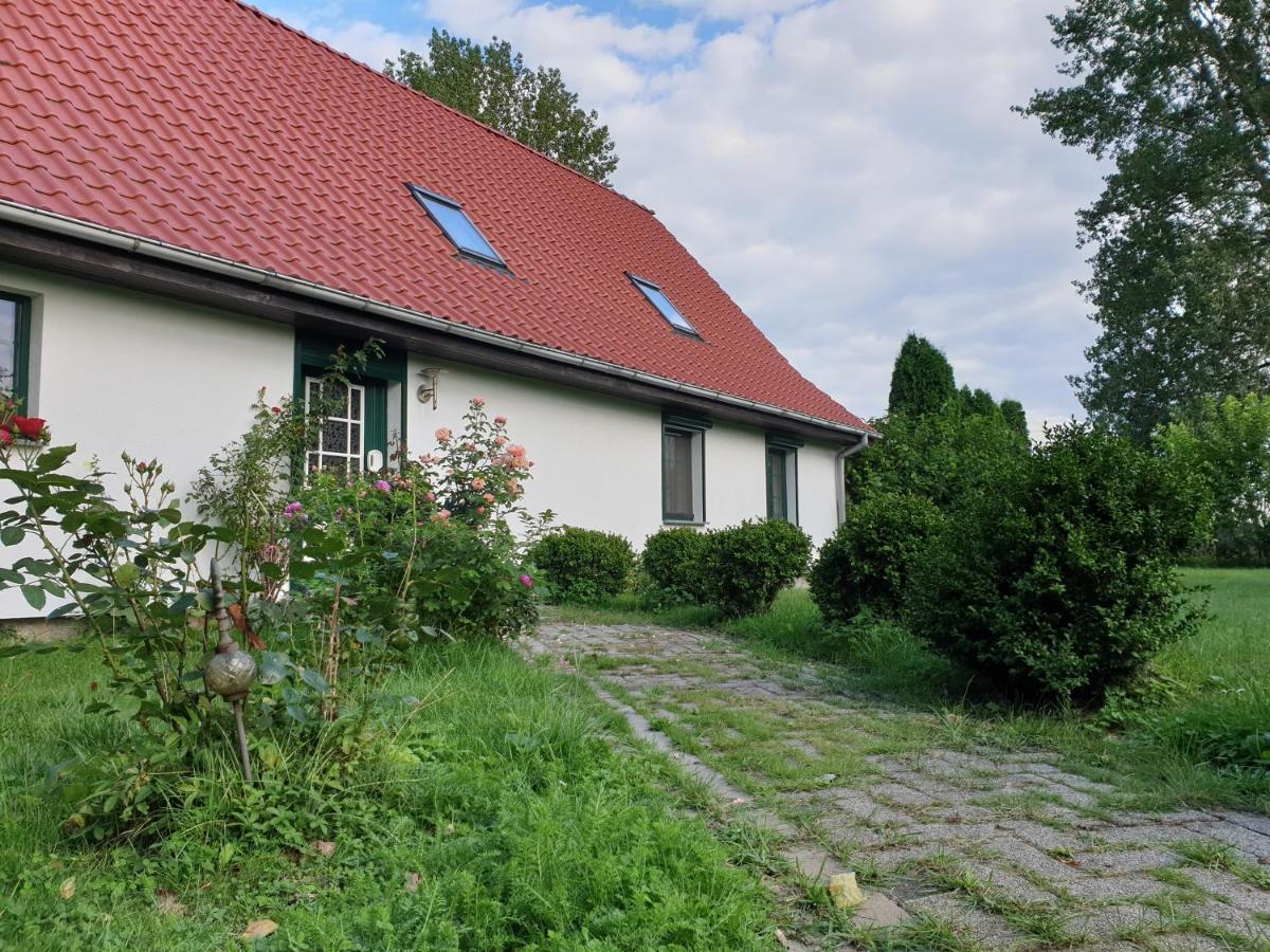 Oeko-Ferienhaus Rappin Extérieur photo